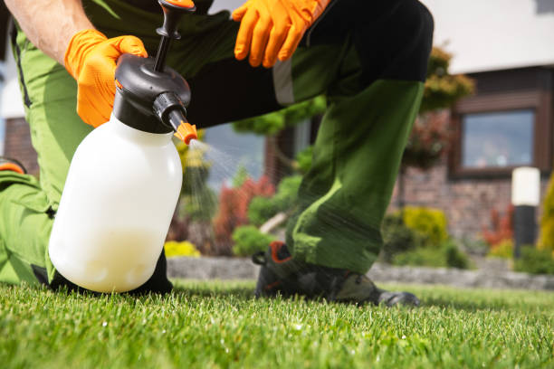 Best Exterminator Services  in Hilton, NY