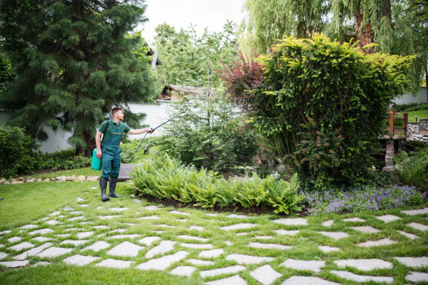 Best Mosquito Control Services  in Hilton, NY