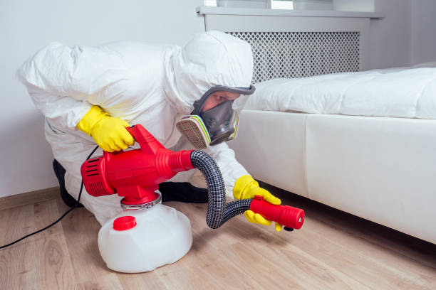 Best Local Pest Control Services  in Hilton, NY