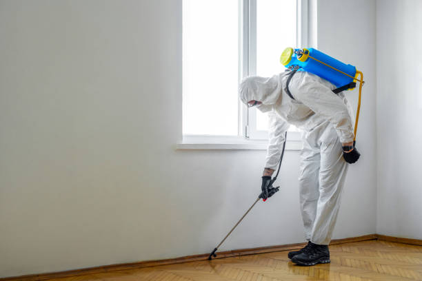Best Best Pest Control Near Me  in Hilton, NY