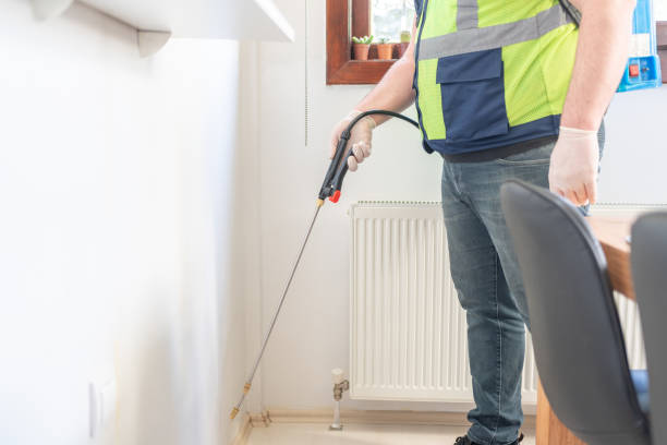 Best Rat Extermination Near Me  in Hilton, NY
