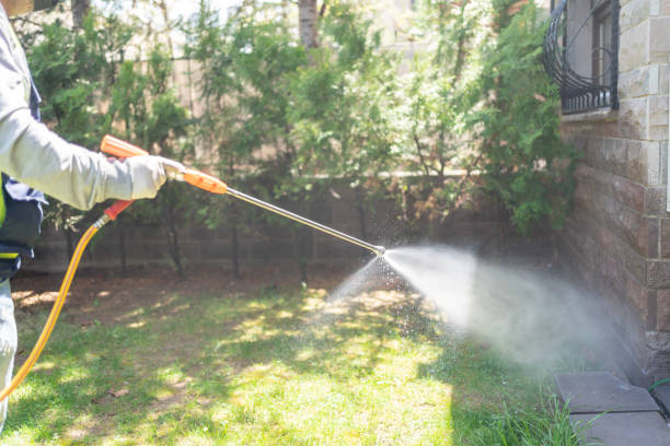 Best Termite Control Services  in Hilton, NY