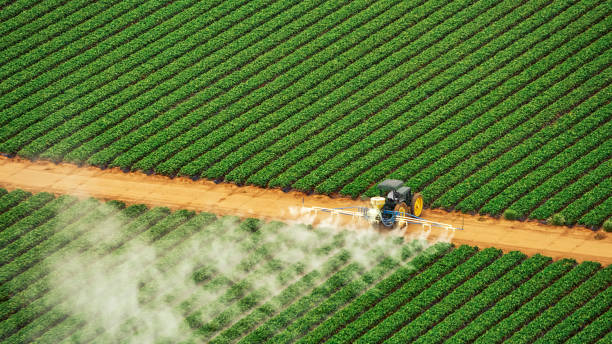 Best Mosquito Control Services  in Hilton, NY