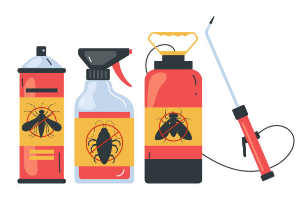 Best Termite Control Services  in Hilton, NY