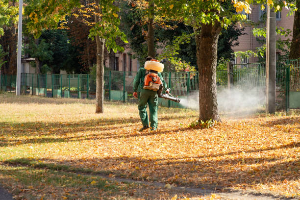 Best Bird Control  in Hilton, NY