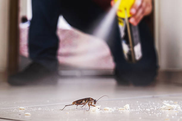 Best Residential Pest Control  in Hilton, NY