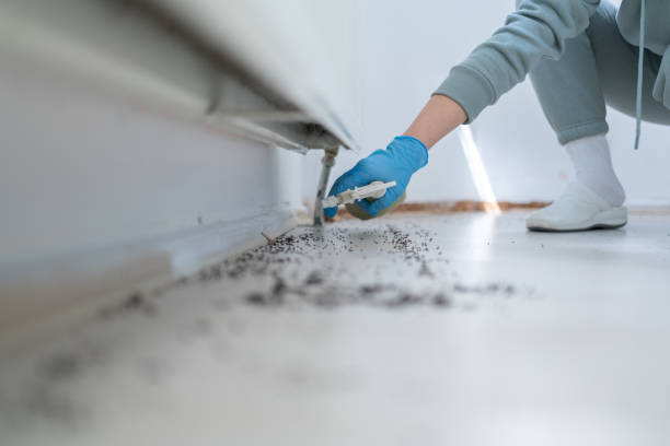 Pest Prevention Services in Hilton, NY