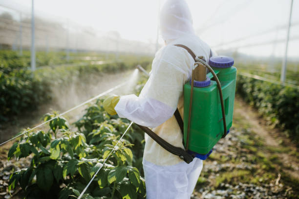 Best Emergency Pest Control  in Hilton, NY